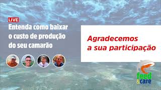 Entenda como baixar o custo de produção do seu camarão  LIVE dia 207 [upl. by Aramit]