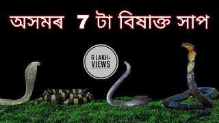 Top 7 Venomous snakes of Assam  অসমৰ বিষাক্ত সাপ  Arpan Partha [upl. by Ltsyrk]