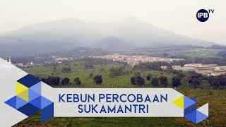 Kebun Percobaan Sukamantri IPB University [upl. by Adnawahs]