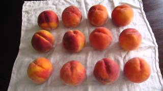 The Best Way to Ripen Peaches [upl. by Nitsrek875]