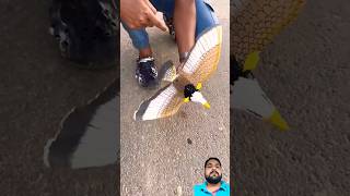 Electric Eagle 🦅  ruhul shorts latest video  Ruhulshorts1 [upl. by Thorman376]