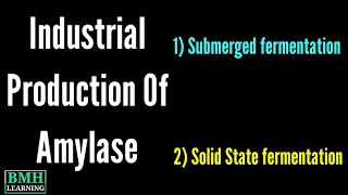 Production Of Amylase  Industrial amp Microbial Production Of Amylase  How Amylase Is Produced [upl. by Tressia584]