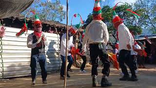 carnaval 2024 en santiago ixtayutla parati fypシ゚viral costumbres carnaval danza baile [upl. by Hsitirb859]