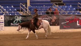 Titans 2018 Cactus Reining Classic Open Derby Run [upl. by Whiting280]