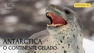 Antarctica  o continente gelado [upl. by Noraa94]