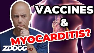 Myocarditis amp mRNA COVID Vaccines  A Doctor Explains [upl. by Cavill97]