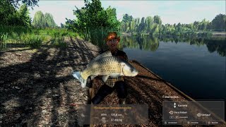 Fishing Planet  Weeping Willow Einzigartiger Schuppenkarpfen 37460kgUnique Common Carp 82585lb [upl. by Coombs]