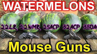 Mouse Guns VS Watermelons 22LR 22WMR 25ACP 32ACP 380ACP [upl. by Nodnalb]