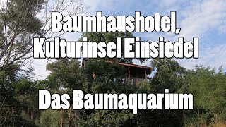 quotDas Baumaquariumquot im Baumhaushotel Kulturinsel Einsiedel [upl. by Abert383]