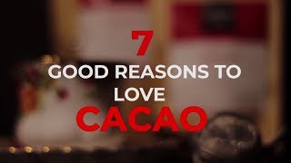 7 Benefits of Cacao [upl. by Emilee855]