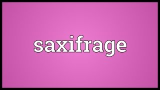 Saxifrage Meaning [upl. by Tirrell697]