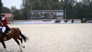 Hengstparade Moritzburg 13092014 Große Dressurquadrille mit 25 Warmbluthengsten [upl. by February]