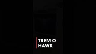 TREMO HAWK AMP W KT66 Power Tube [upl. by Farkas]