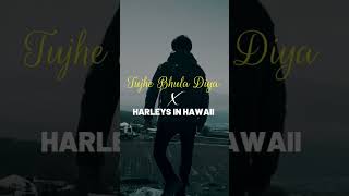 Tujhe Bhula Diya X Harleys In Hawaii  Whatsapp Status  Mashup  Alvin Jax Mashup  LoFi amp Chill [upl. by Werdnael]