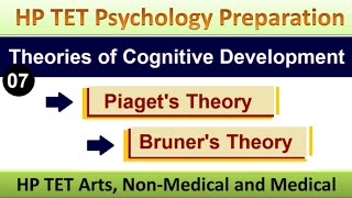 Cognitive Development Theories of Cognitive Development Jean Piaget Jerome Bruner Adhyayan Kaksh [upl. by Hennie881]