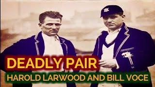 DEADLY PAIR WHO CHANGED FAST BOWLING FOREVER LARWOOD AND VOCE [upl. by Ronym]