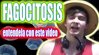 ENTENDÉ LA FAGOCITOSIS CON ESTE VIDEO AHORA MISMO☠😈 [upl. by Mccall]