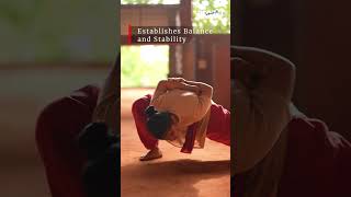 Learn Kalaripayattu online [upl. by Derrik]