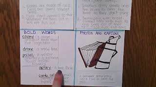 Nonfiction Text Features Project Making the FlipgridExpectations [upl. by Killion]