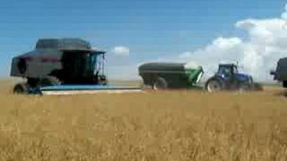 3 Gleaner R72s [upl. by Sumer479]