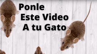 Entretenimiento para Gatos  Video Para Gatos con Ratones para Jugar  Video For Cats [upl. by Asiulana713]