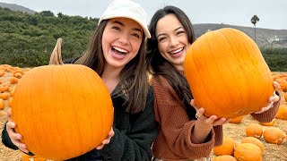 Twins vs Twin Who picked the Best Pumpkin [upl. by Shirleen]