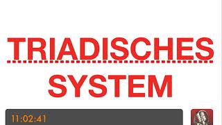 HP PSYCHOTHERAPIE AUSBILDUNG  Triadisches System [upl. by Llyrad176]