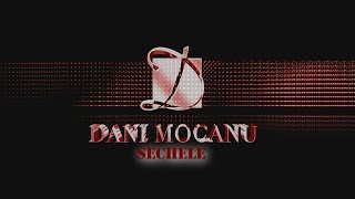 Dani Mocanu  Sechele  Official Audio [upl. by Allertse297]