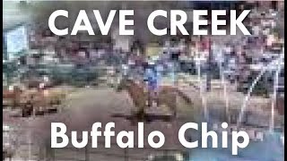 Cave Creek Arizona Team Penning at the Bufallo Chip Arena [upl. by Della]