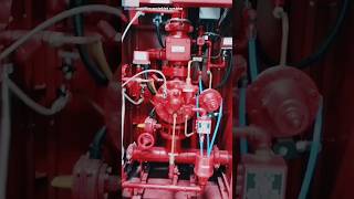 PreAction fire sprinkler system Preaction panel shorts [upl. by Olga139]