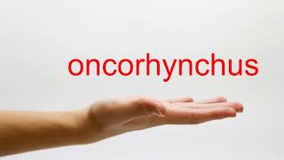 How to Pronounce oncorhynchus  American English [upl. by Festus]