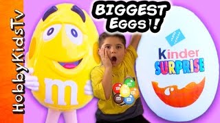 Giant KINDER Eggs with Surprise Toys [upl. by Neenaj461]