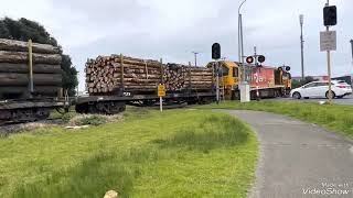 Hewletts Road Level Crossing With Shrek Audio On It [upl. by Ahsinam]