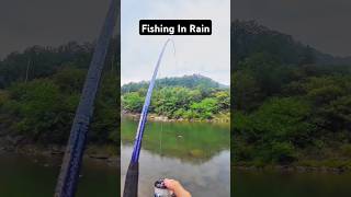 Fishing in rain fishinglife fishtank fisherman fishvideo river aquarium catfish fish craft [upl. by Okimuy68]