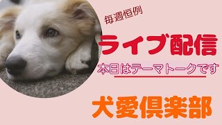 日曜定例ライブ2月4日 テーマトークデーです [upl. by Anahs]