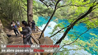 La conservación de la naturaleza se abre paso en la China rural [upl. by Reivilo]