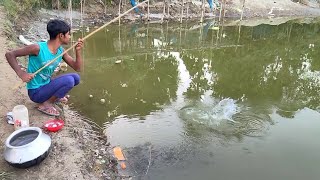 Fishing  New best hook fishing video ✅ part78  Fishvideo633 [upl. by Boyt368]