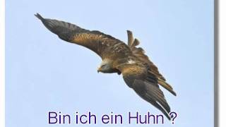 Bin ich ein Huhn   Motivationsgeschichte [upl. by Nosnevets]