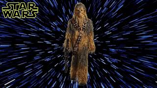 Star Wars  Chewbacca Sound Effect [upl. by Misty]