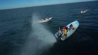 SEA SHEPHERD SHIP ATTACKED INSIDE VAQUITA REFUGE [upl. by Anem]