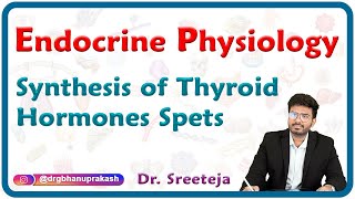 Synthesis Of Thyroid Hormones spets  Endocrine physiology USMLE Step 1 [upl. by Assert]