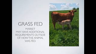 Grass Finished Beef Melding Production and MarketingTodd Clark Clark Family Farms [upl. by Elleirad]