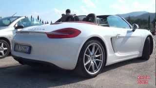 2013 Porsche Boxster PSE Exhaust Sound  Start amp Huge Revving [upl. by Pernick]