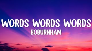 Bo Burnham  WORDSWORDSWORDS Lyrics Btchesand hoes dont existcuz the hoes know bos a feminist [upl. by Yerffoj]