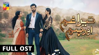 Tera Ghum Aur Hum  Full OST  HUM TV  Drama [upl. by Dash]