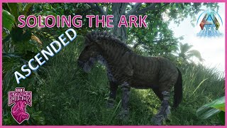 Fishing and Taming an Equus Soloing ARK Ascended Ep 29 [upl. by Reivazx485]