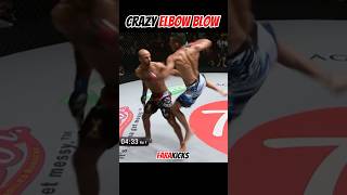 Crazy Elbow Blow muaythai mma boxing [upl. by Saunderson]