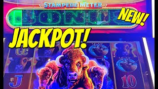 🚨NEW Slot A crowd formed to see this Amazing Jackpot on Buffalo Ultimate Stampede [upl. by Bettencourt]