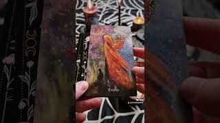 New Moon card reading new beginnings Evolve transform [upl. by Scarface]