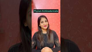 Phylum Echinodermata  Animal Kingdom shorts shortvideo neet biology youtubeshorts neet2025 [upl. by Slorac]